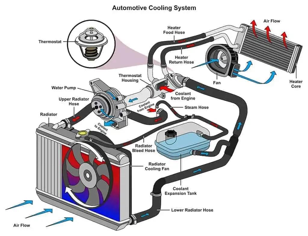 Why Is Engine Coolant Important for Your Vehicle?